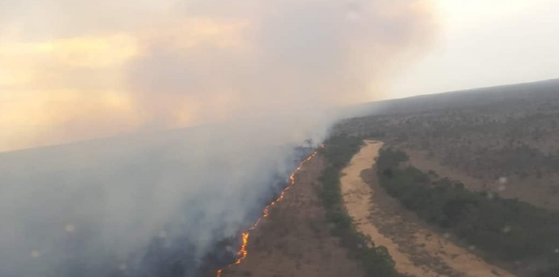 Guests evacuated following fire at Kruger National Park | News Article