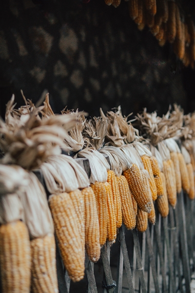 Agri-uur: Jongste Safex-nuus | News Article