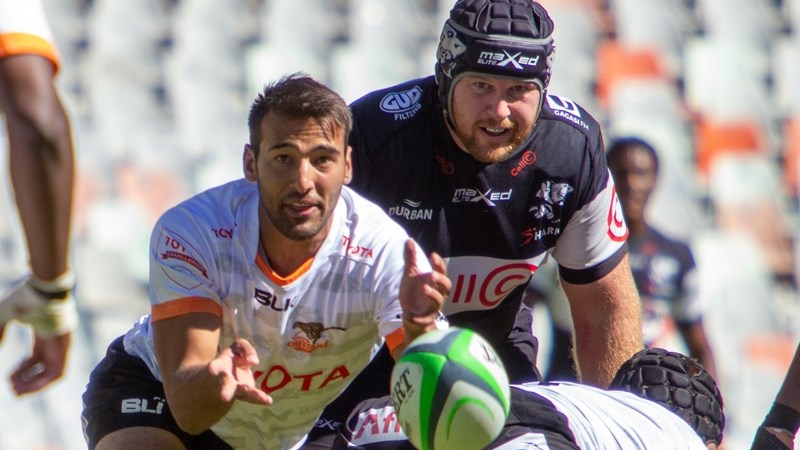 Cheetahs make changes for Baia Mare | News Article