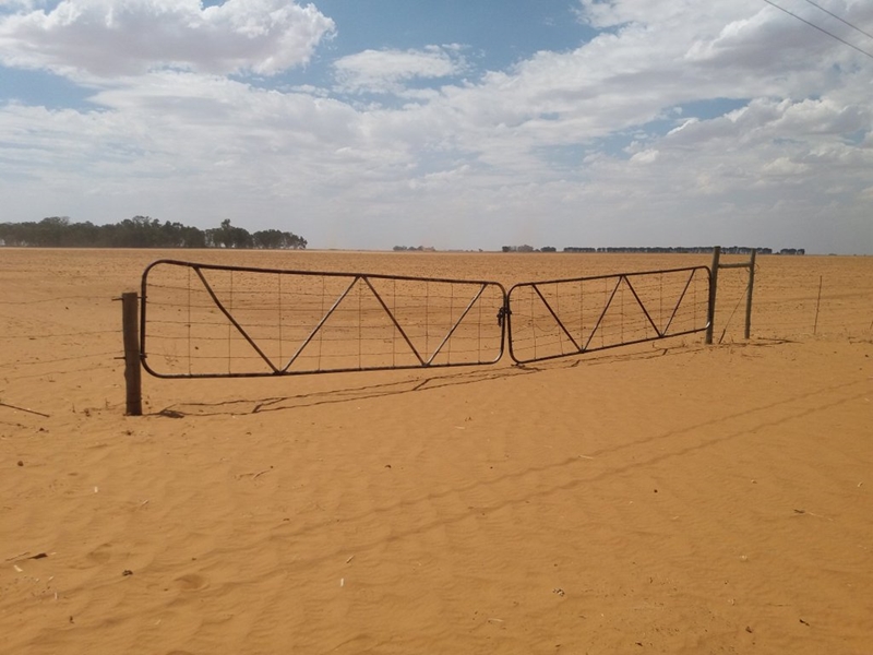 Agri podcast: Drought in Northern Cape far from over | News Article