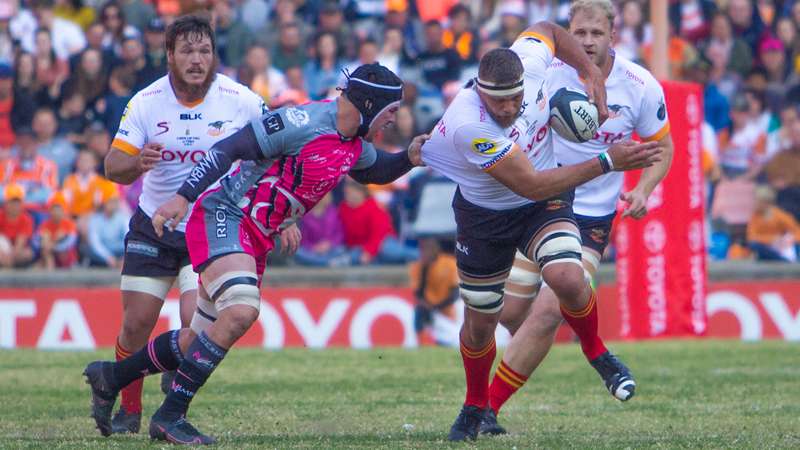 The Valke won't roll over for the Cheetahs | News Article
