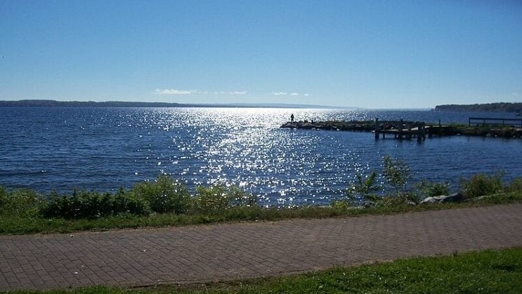 Weird Wide Web – Seneca-meer-misterie uiteindelik opgelos! | News Article