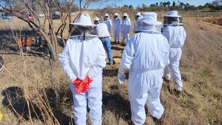 Byeboerdery iets bzzsonders Byeboerdery iets bzzsonders | News Article