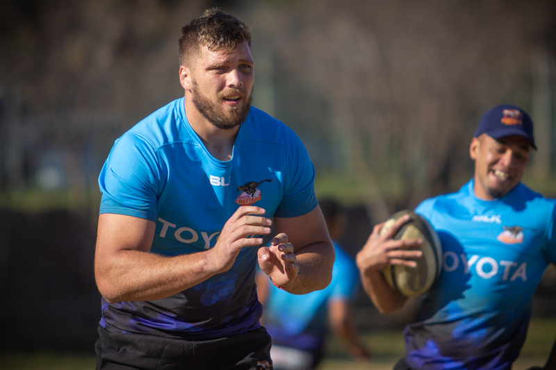 The Cheetahs report back for duty | News Article