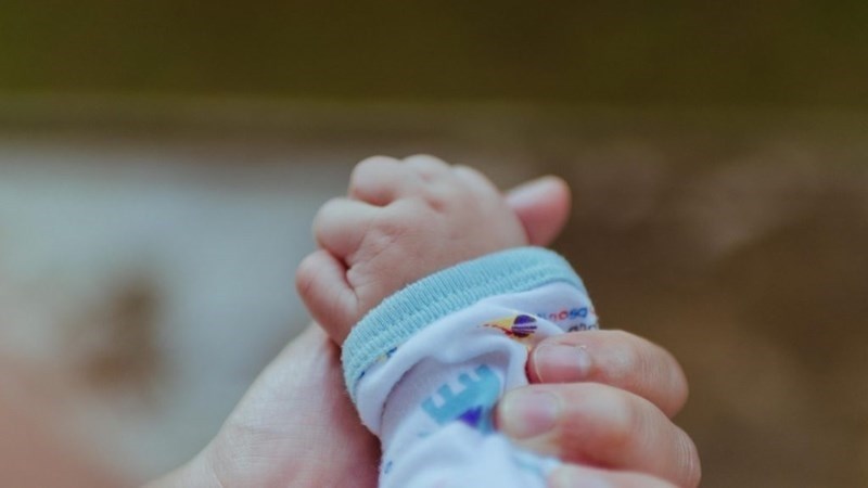 Free State welcomes 75 Easter babies | News Article