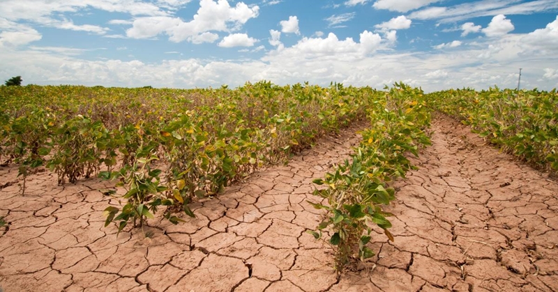 #OFMSakeUur: Volhoubaarheid in landbou | News Article