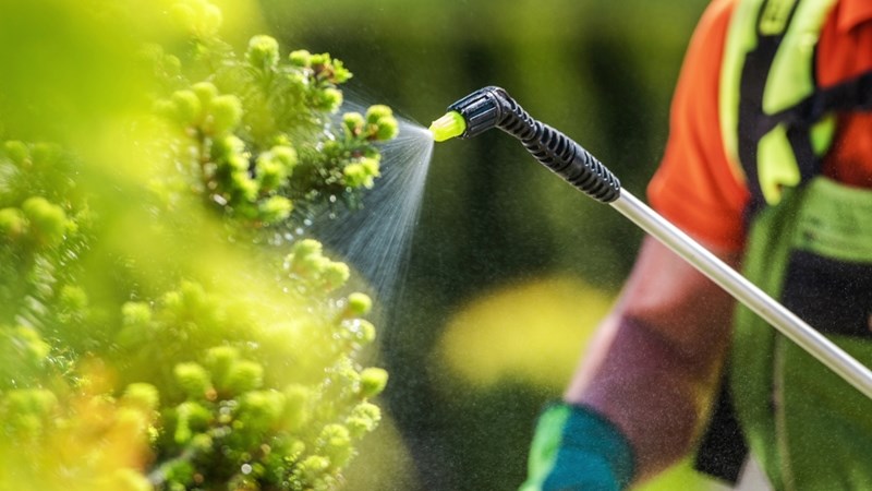 Get Wise Wednesday: Kunsmis en plaagdoders - mites, feite en veiligheid | News Article