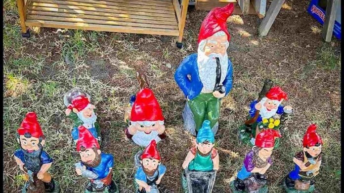 Ontvoerde Kanadese tuinkabouters terug – nuut uitgevat Ontvoerde Kanadese tuinkabouters terug – nuut uitgevat | News Article