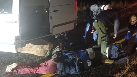 Free State police continue to intensify efforts against stock theft syndicates | News Article