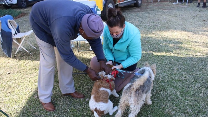 #WorldRabiesDay: Rabies - deadly but preventable #WorldRabiesDay: Rabies - deadly but preventable | News Article