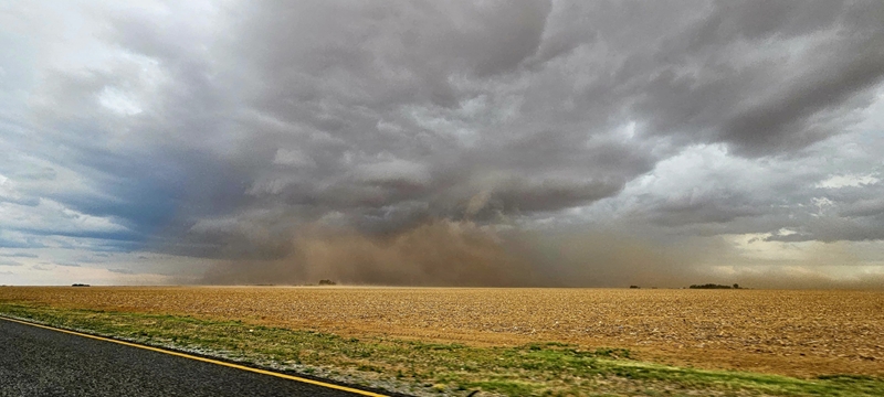 VF Plus bied hulp aan om meesterplan vir landbou op koers te kry | News Article