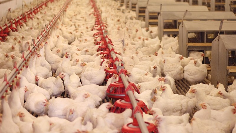 What’s new in Farmer’s Weekly? What’s new in Farmer’s Weekly? | News Article
