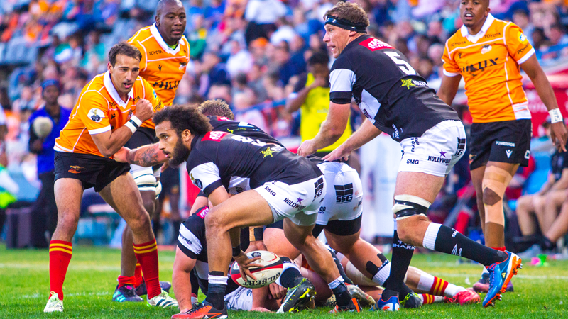 Boks bolster squad for All Blacks double-header Boks bolster squad for All Blacks double-header | News Article