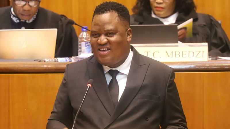 Stolen North West livestock traced to Gauteng, Northern Cape auctions  | News Article