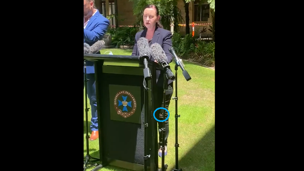 Spider crawling on Australian minister halts press conference | News Article