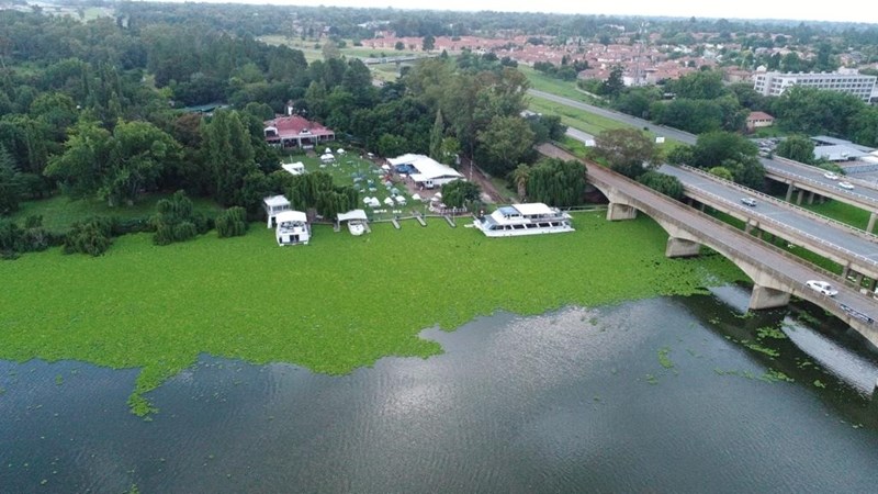 Vaalrivier word vinnig teelaarde vir indringerplante Vaalrivier word vinnig teelaarde vir indringerplante | News Article