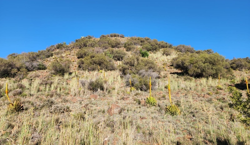 Kans vir natuurliefhebbers om deel te neem aan BioBlitz | News Article