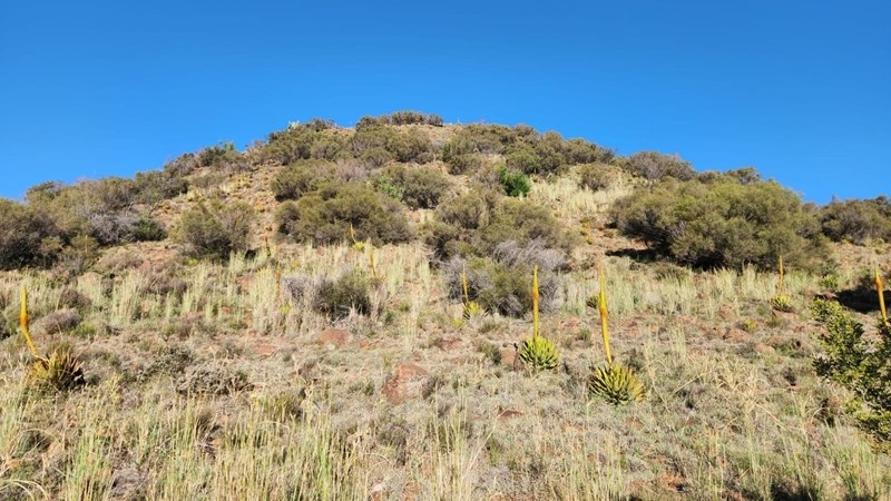 Kans vir natuurliefhebbers om deel te neem aan BioBlitz Kans vir natuurliefhebbers om deel te neem aan BioBlitz | News Article