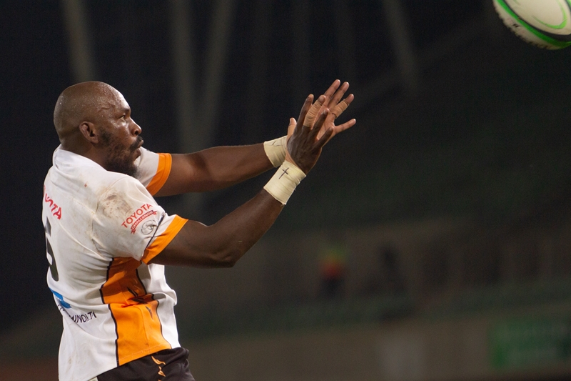 Cheetahs want to build on their momentum | News Article