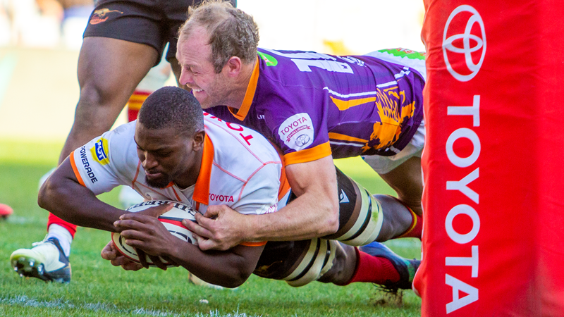 Cheetahs adopt knockout rugby mindset Cheetahs adopt knockout rugby mindset | News Article