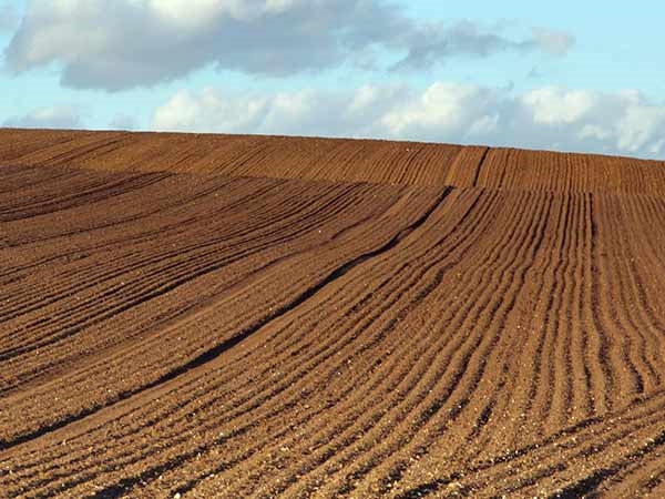 Agri-Uur: Jongste Safex-nuus | News Article