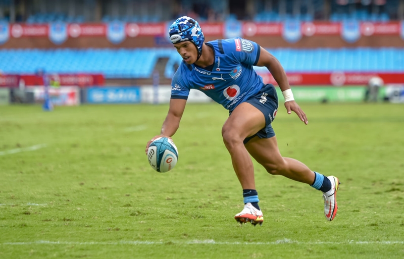 Bulls without Arendse for URC semis | News Article