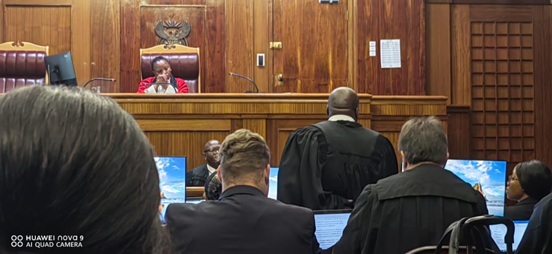 UPDATED – Estina adjacant trial: Documents questioned | News Article