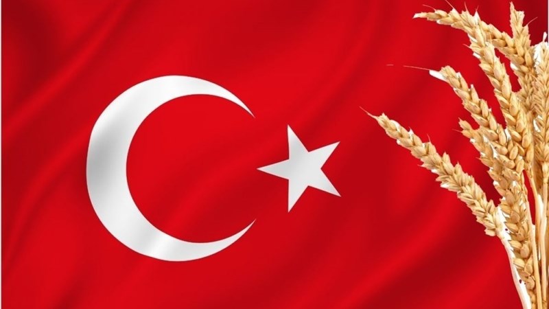 Hoe raak Turkye se koringinvoerverbod Suid-Afrikaanse produsente? Hoe raak Turkye se koringinvoerverbod Suid-Afrikaanse produsente? | News Article