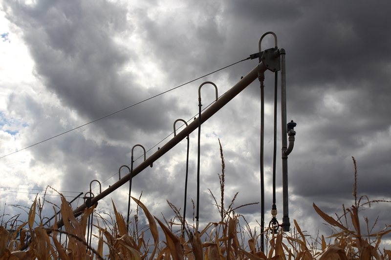 Agri-Uur: Jongste Safex-nuus | News Article