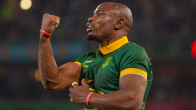 Boks grind to a win against defiant Scots Boks grind to a win against defiant Scots | News Article