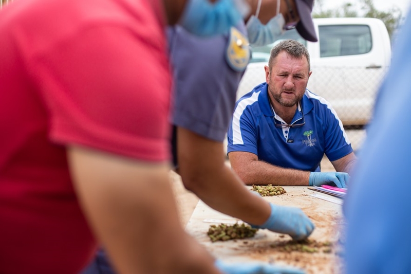 Drie mans op Kanoneiland aangekeer met bedreigde plante | News Article