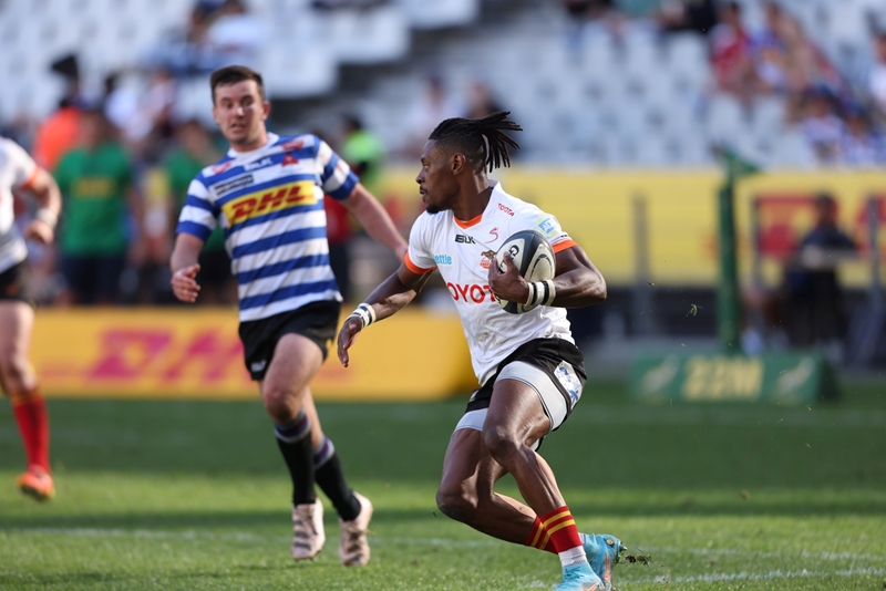 Cheetahs claim victory in Cape Town | News Article