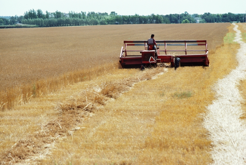 Agri-Uur: Jongste Safex-nuus | News Article