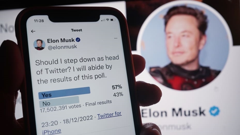 Musk looking for someone 'foolish enough' for Twitter job  | News Article