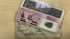 Grace period for driver's licence renewal extended | News Article