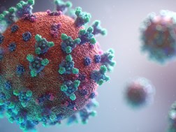 #CoronavirusSA: 10,017 new COVID-19 cases | News Article