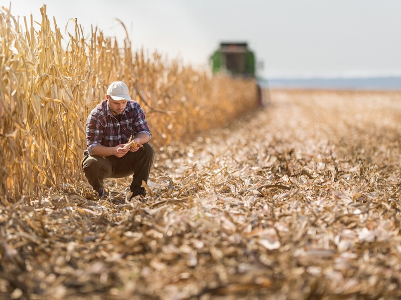 LUISTER: Agri SA gee leierskapsraad vir veranderende landbou-omgewing | News Article