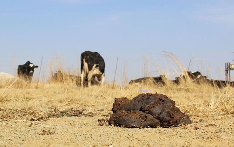 Ex-investigator claims names removed from #Vrede report | News Article