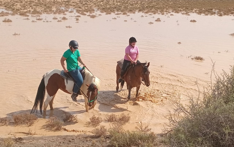 Plaasmeisie van Karoo se wanhoop oor droogte word treffende lied | News Article