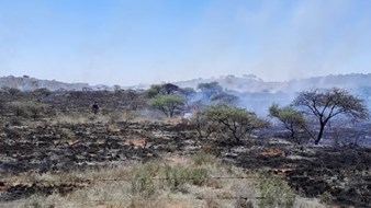 Landbounuus: Brandbestryders, grondeienaars probeer om brand by Oppermansgronde te blus Landbounuus: Brandbestryders, grondeienaars probeer om brand by Oppermansgronde te blus | News Article