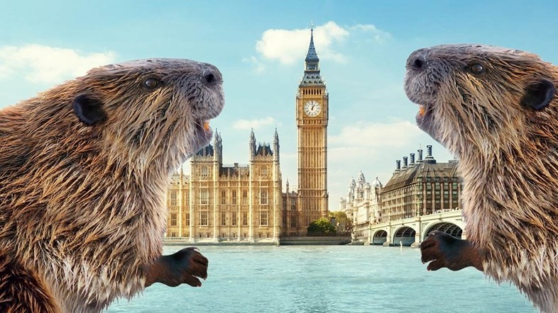 Weird Wide Web - Busy Justin and Sigourney Beaver Saving the Day Weird Wide Web - Busy Justin and Sigourney Beaver Saving the Day | News Article