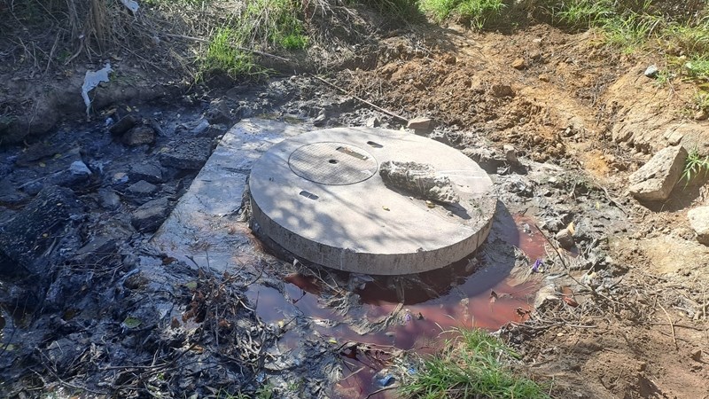 Vaal River allegedly contaminated by water-borne cholera disease Vaal River allegedly contaminated by water-borne cholera disease | News Article