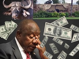 Opposisie eis dringende hofoptrede oor Phala Phala, maar Ramaphosa skop vas | News Article