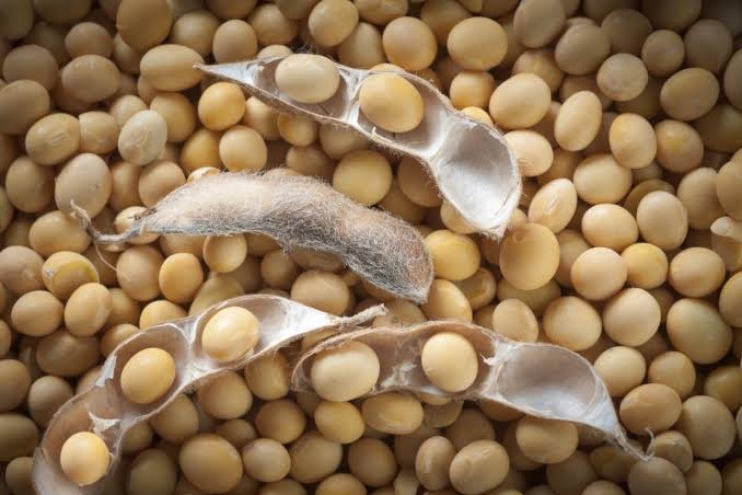 Agri-Uur: Jongste Safex-nuus  | News Article