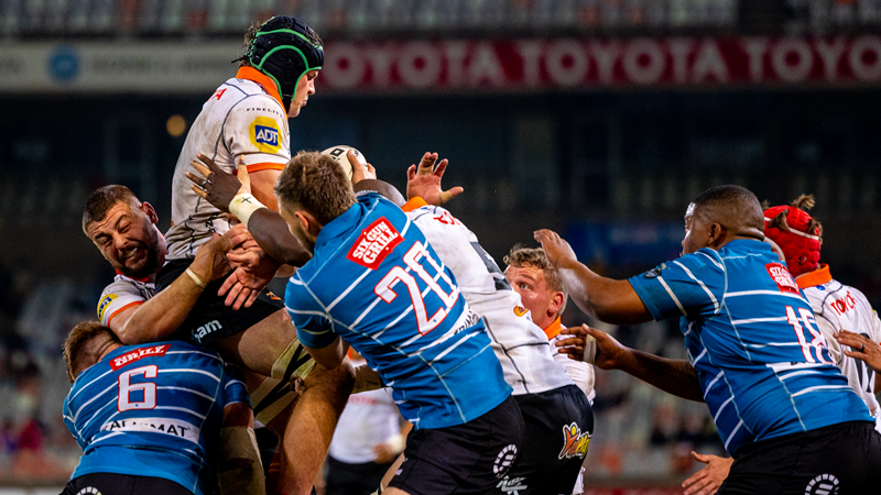 Cheetahs to show backlash this week | News Article
