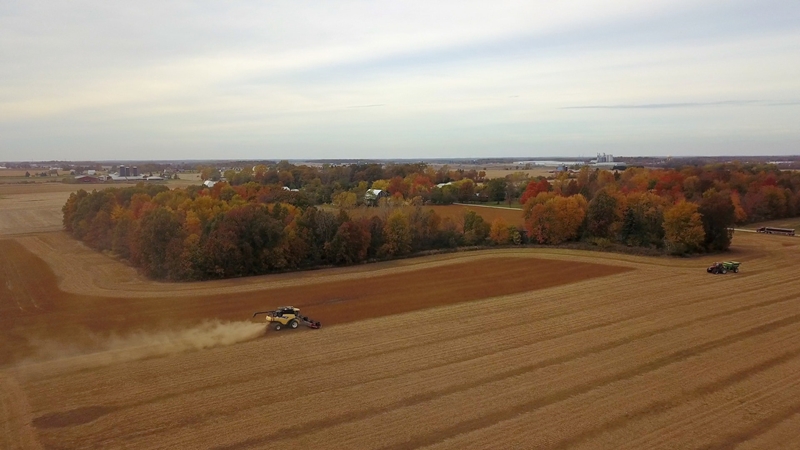 Agri-uur: Jongste Safex-nuus | News Article