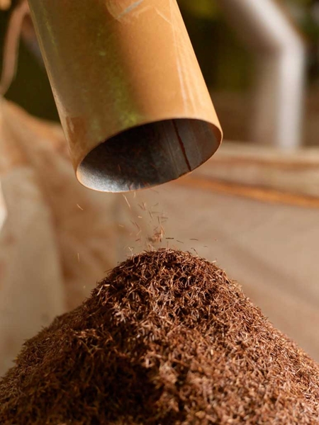 #OFMBusinessHour: Rooibos industry makes history  | News Article