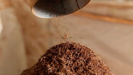 #OFMBusinessHour: Rooibos industry makes history  | News Article