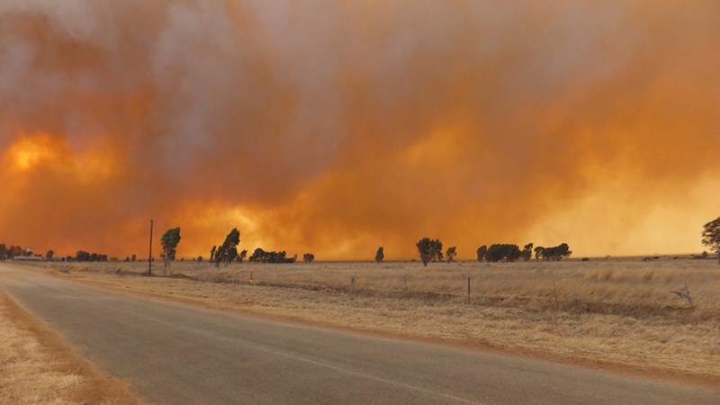 Agri podcast: Eastern Free State faces active fire season | News Article