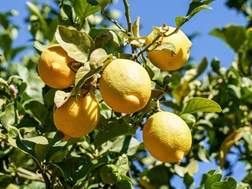 Wat is nuut in Farmer's Weekly? | News Article